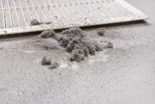 Affordable HVAC Duct Cleaning in Seneca, IL