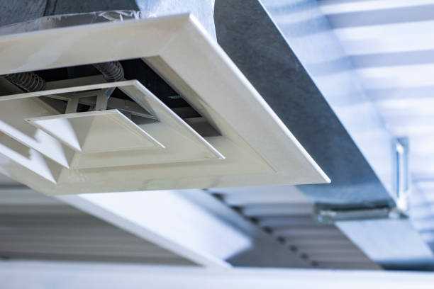 Air Duct Mold Removal in Seneca, IL